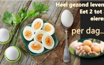 Heel gezond leven: 2 tot 3 eieren per dag..!!