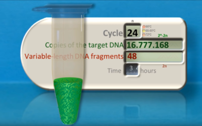 FRAUDE: Hoe de PCR test is verprutst en misbruikt