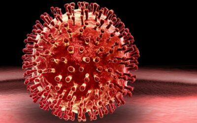 Waarom de virusmassahysterie (‘besmettingen’) nergens voor nodig is