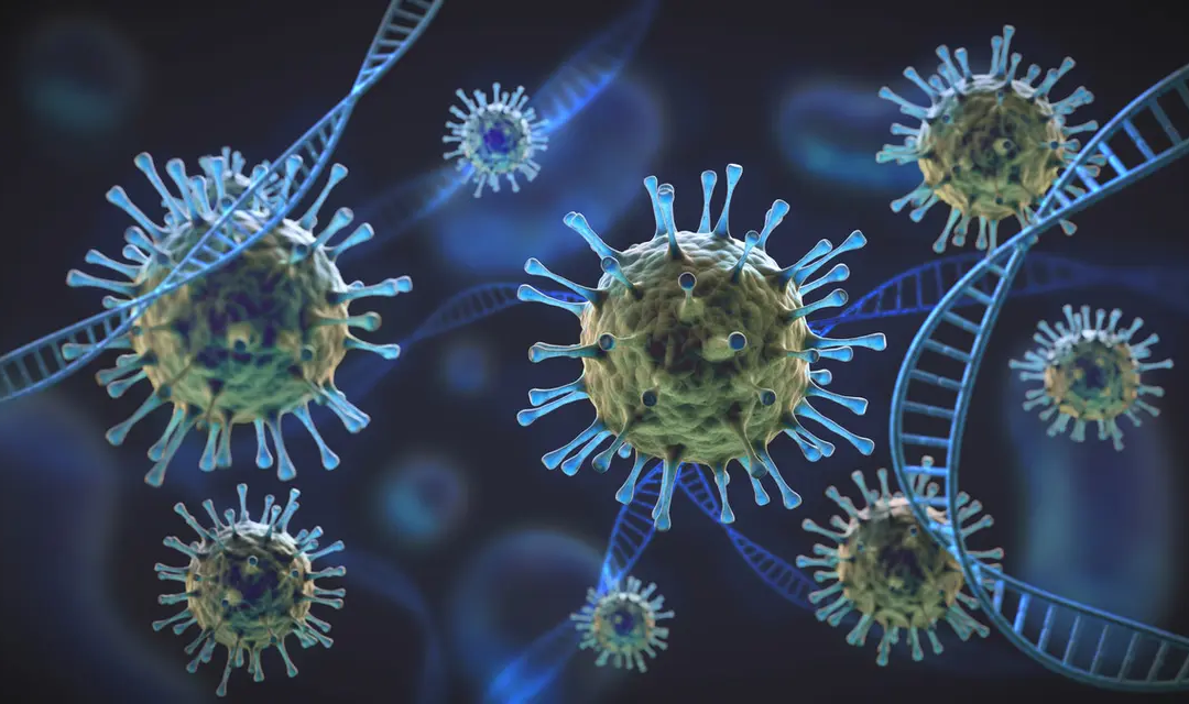 De nieuwe Afrikaanse virus mutatie: precies op tijd / Het Omicron virus: wat is de genetische samenstelling? (essentiële informatie)
